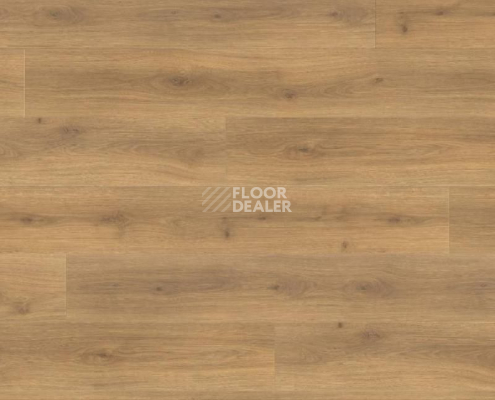 Ламинат Haro Tritty 100 Gran Via 4V ДУБ ЭМИЛИЯ МЕДОВЫЙ 538772 фото 1 | FLOORDEALER